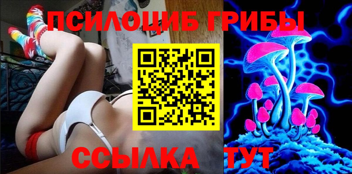 Псилоцибиновые грибы Cubensis Добрянка